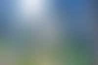 Описание изображения