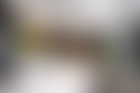 Описание изображения