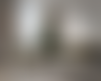 Описание изображения