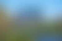 Описание изображения