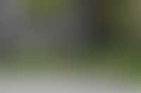 Описание изображения