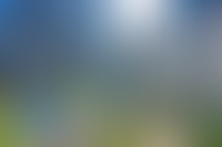 Описание изображения