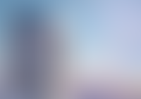 Описание изображения