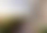 Описание изображения