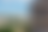 Описание изображения