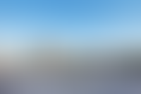 Описание изображения