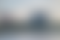 Описание изображения