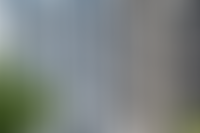 Описание изображения