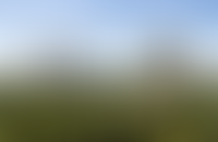 Описание изображения