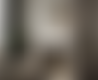 Описание изображения