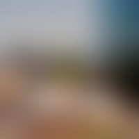 Описание изображения