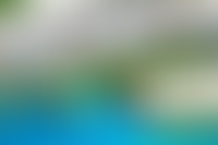 Описание изображения