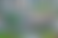 Описание изображения