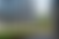 Описание изображения