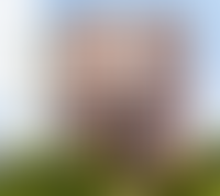 Описание изображения