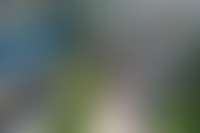 Описание изображения