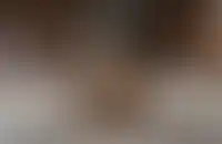 Квартиры с камином