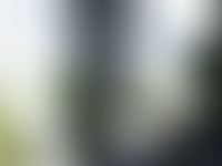 Квартиры с террасой