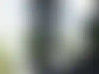 Квартиры с террасой