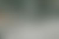 Описание изображения