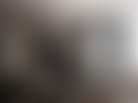 Описание изображения