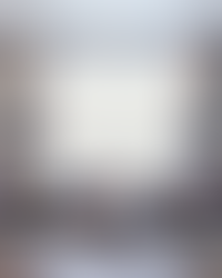 Описание изображения