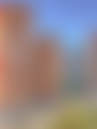 Описание изображения