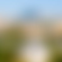 Описание изображения