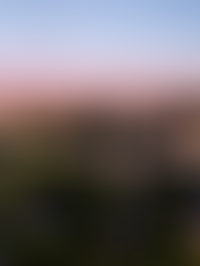 Описание изображения