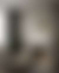 Описание изображения