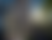 Описание изображения