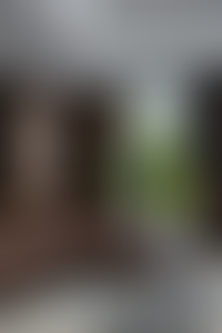 Описание изображения