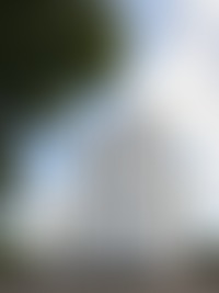 Описание изображения