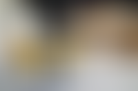 Описание изображения