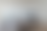 Описание изображения