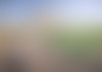 Описание изображения