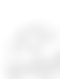 Двор ориентирован на юг