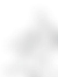 Продуманный ландшафтный дизайн