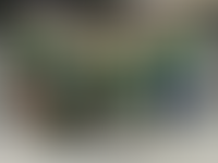 Миссия Level Group