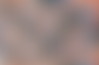 О присвоении кадастровых номеров всем объектам корпуса в Level Амурская