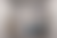 Описание изображения