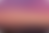 Описание изображения