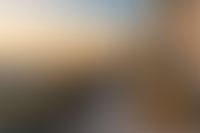 Описание изображения