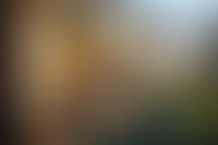 Описание изображения