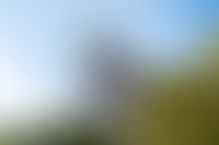 Описание изображения