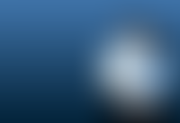 Описание изображения