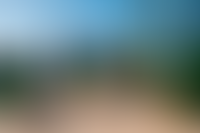 Описание изображения