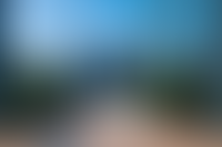 Описание изображения