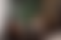 Описание изображения