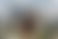 Описание изображения